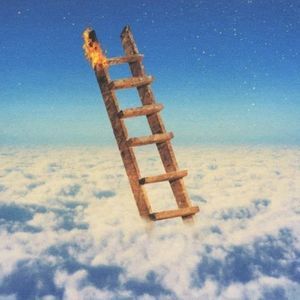 Meet your Posher, Diego